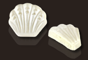 WHITE CHOCOLATE SEASHELL
